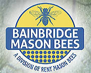 Mason Bees courtesy image