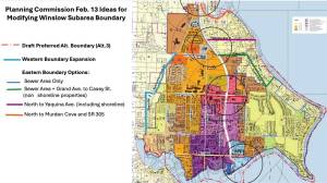 City of BI courtesy image 
A rough sketch of potential options for changes to the Winslow Subarea.