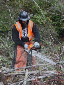 File photo
A landscaper uses an electric chainsaw to perform some roadside maintenance along Highway 305.