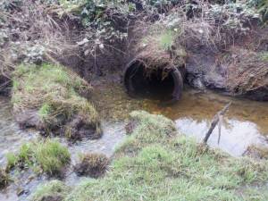 WDFW courtesy photo
The existing culvert at the mouth of Cooper Creek.