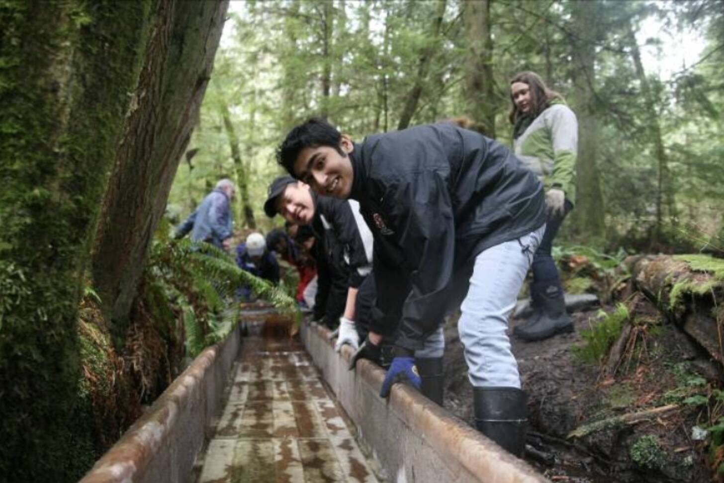 Sustainable Bainbridge courtesy photo
Volunteers adjust the salmon fry raceway in 2012.