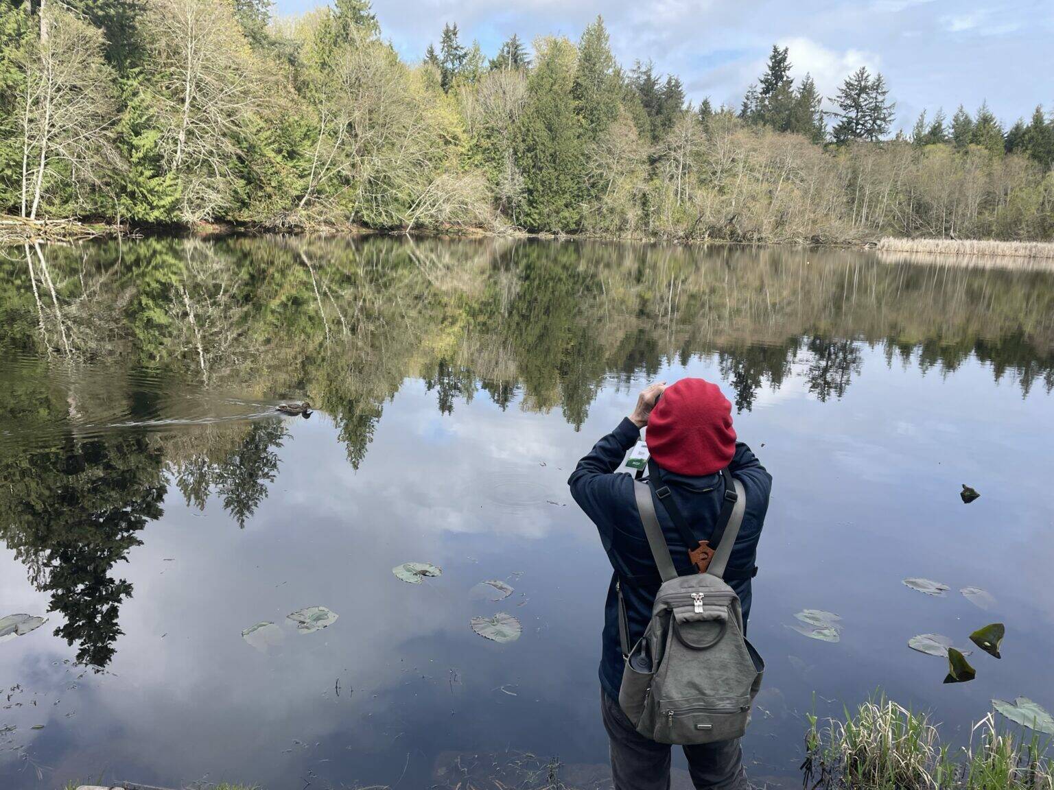 Islandwood courtesy photo
An event attendee surveys a pond during the City Nature Challenge in 2024.