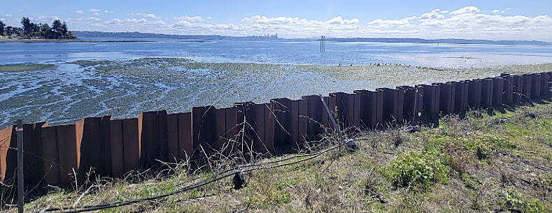 U.S. Army Corps of Engineers courtesy photo
The sheet pile wall at the Wyckoff/Eagle Harbor Superfund site on Bainbridge Island, facing Puget Sound and Seattle during low tide. The beach in front of the sheet pile wall is a sand cap that protects the Puget Sound from creosote contamination.