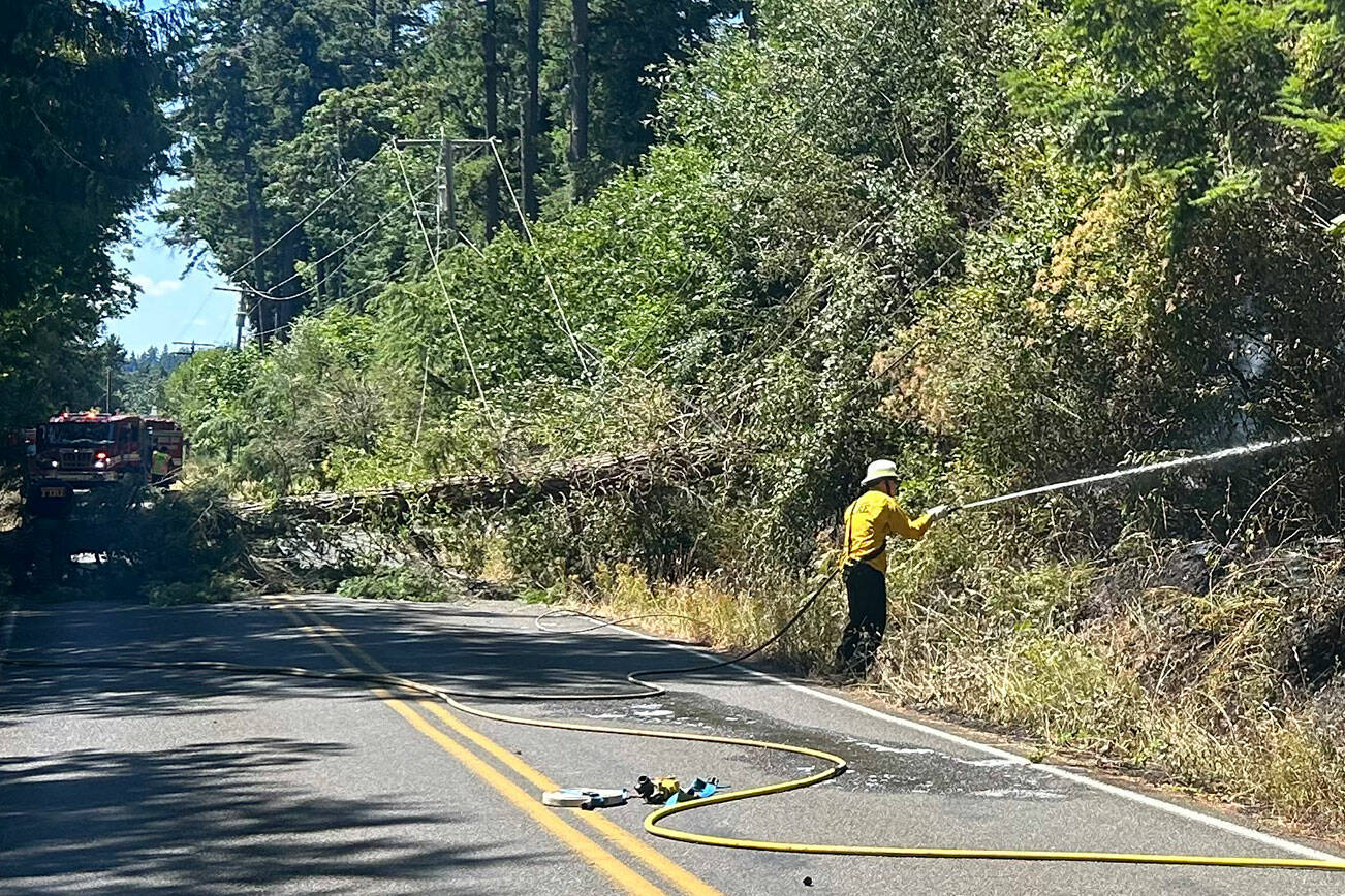 BIFD courtesy photo
A 2024 fire on Oddfellows Road on Bainbridge Island.