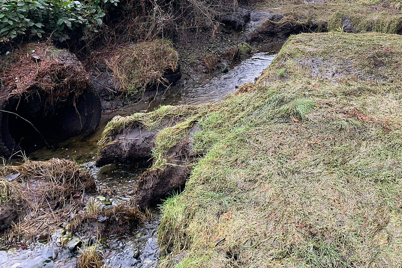 Cooper Creek culvert on BI.