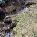 Cooper Creek culvert on BI.