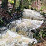 RCO courtesy photos
Bainbridge Islands Fletcher Bay Road culvert.