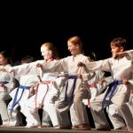 A group performance from Pacific Fusion Taekwondo national champions and gold medalists at BIs Korean Heritage Night May 8.