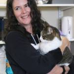 PAWS volunteer coordinator Nicole Daring bonds with mackerel tabby Charlie.