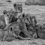 Garner Hall courtesy photo
BHS junior Garner Hall won Best of Show in photography during the BI Youth Art Awards.