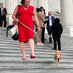 Mike De Felice/Kitsap News GroupPhotos 
Rep. Randall walking down the steps of the U.S. Capitol after voting with her Chihuahua, Bad Bunny.