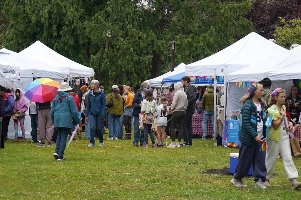 Festival attendees peruse Vendor Village.