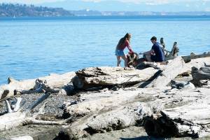 File photo
Fay Bainbridge Park