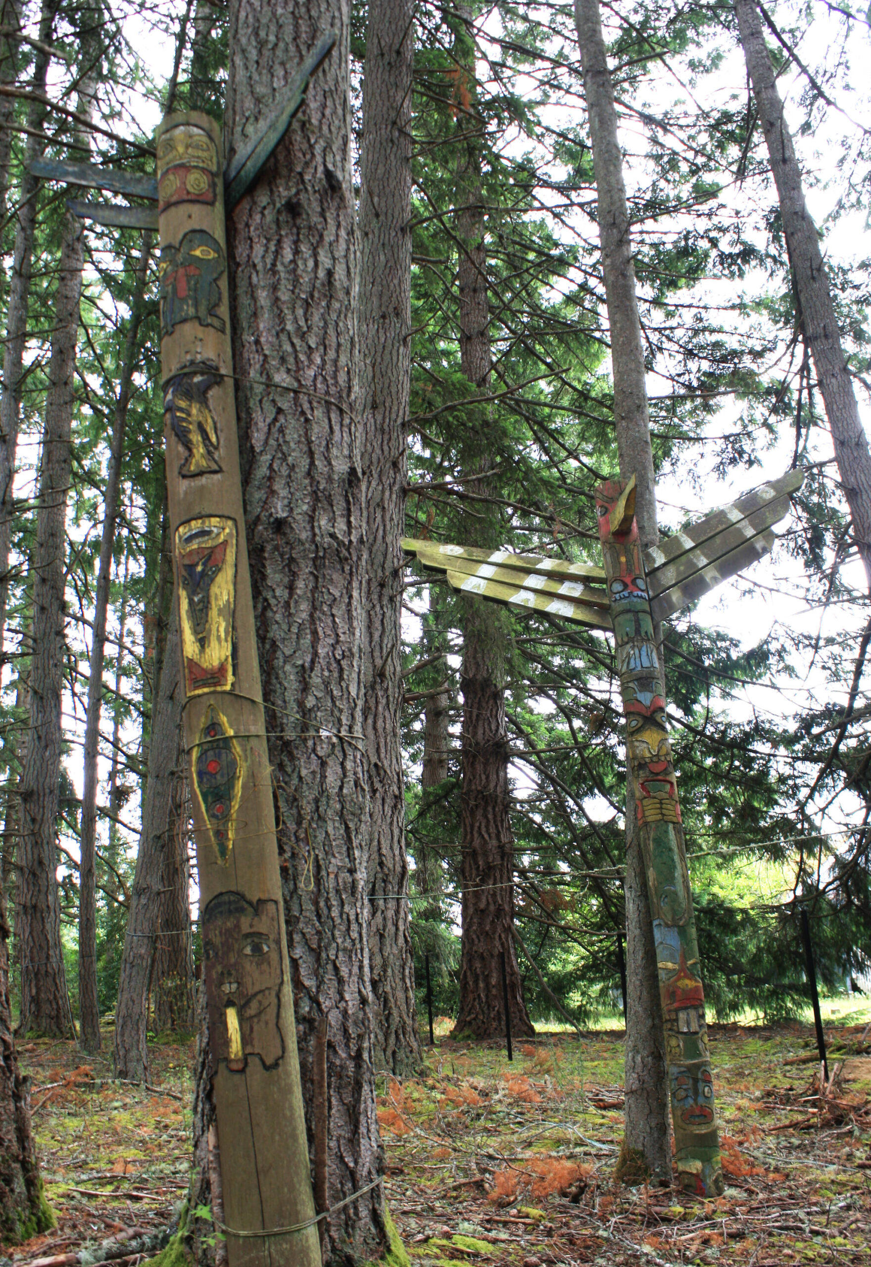 The new mini-Grand Forest is an undeveloped wooded area where students can explore and build forts.