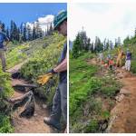 WTA courtesy photo
A before-and-after composition of trail work performed by a WTA maintenance crew, showing improved tread on the right.