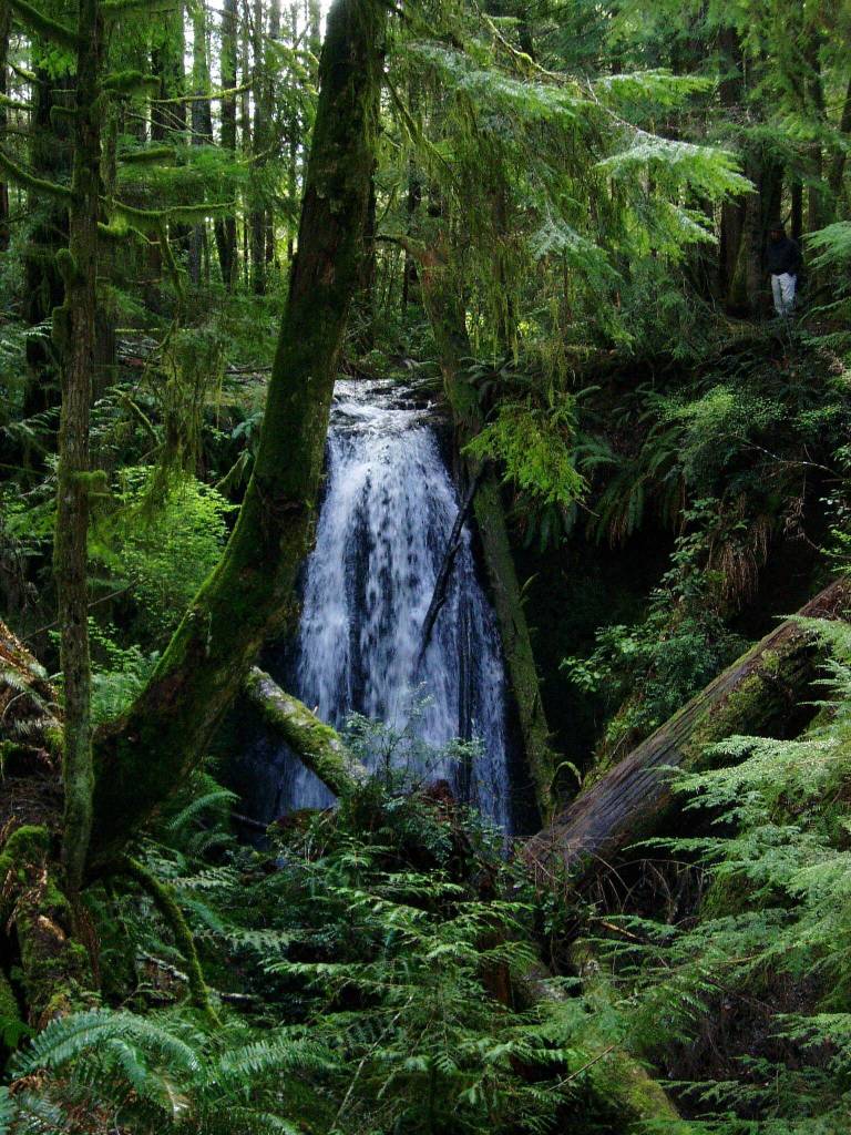 DNR courtesy photos
A waterfall in the Stavis Natural Resources Area.