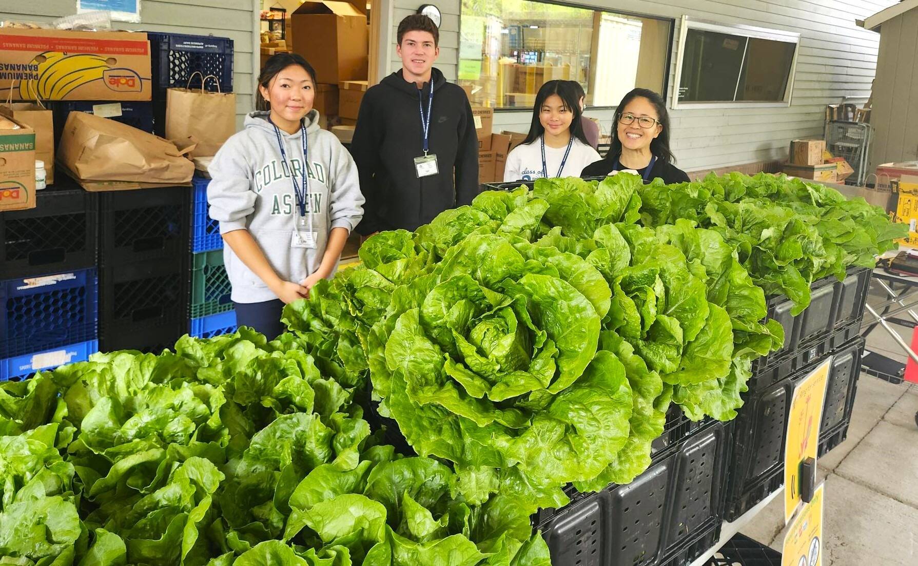 Volunteers with Helpline House present many giant heads of lettuce to Helpline House.
