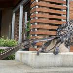 Joshua Kornfeld/Kitsap News Group photos
Giant Pacific Octopus by Steven Nagode on display outside of City Hall.