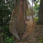 Anemone by Will Jewett at Waterfront Park.