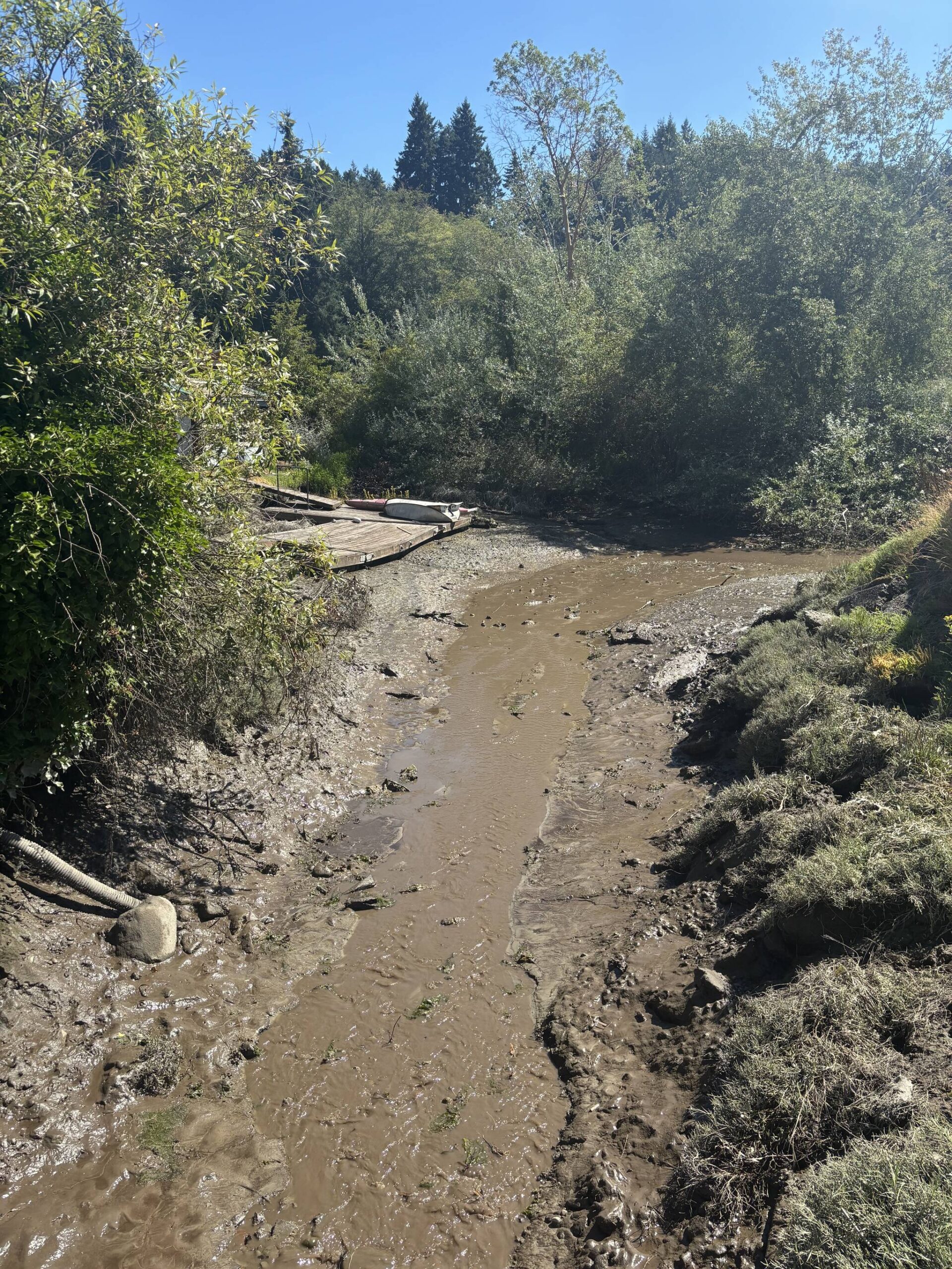 Cooper Creek flowing beneath the roadway, with more sediment than usual.