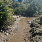 Cooper Creek flowing beneath the roadway, with more sediment than usual.