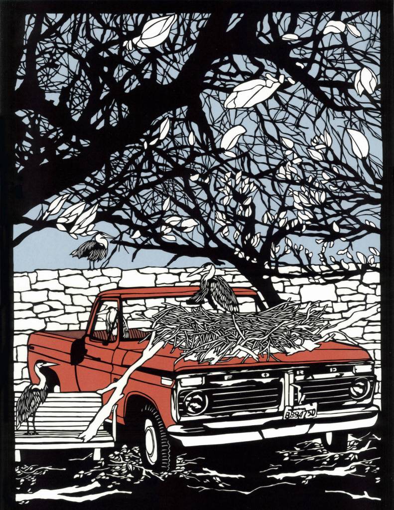 Paper cuts by Elizabeth VanDuine.