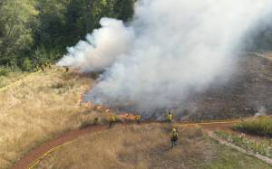 Bainbridge Prepares courtesy photo
The Bainbridge Island Fire Department conducted a controlled burn at Bloedel Reserve Aug 25.