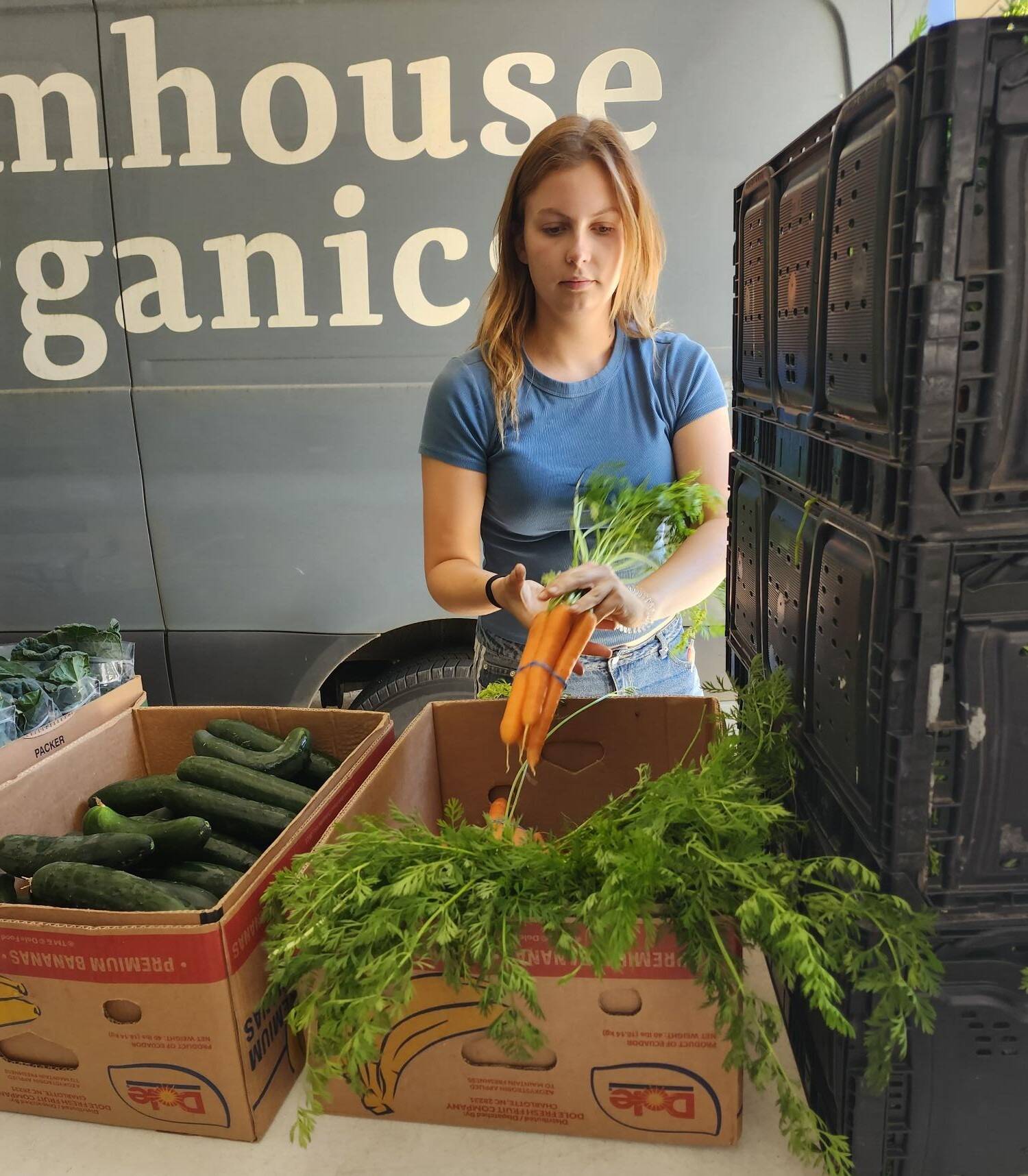 Share the Harvest courtesy photo
A volunteer sorts carrots during a delivery to Helpline House.