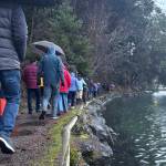 Molly Hetherwick/Kitsap News Group photos
King tide walk attendees stroll along the Waterfront Trail Dec. 8, next to an unusually high water level.