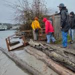 Event attendees step carefully over logs placed along the shoreline of Eagle Harbor condominiums as a buffer for wave action, avoiding the high water from the king tide.