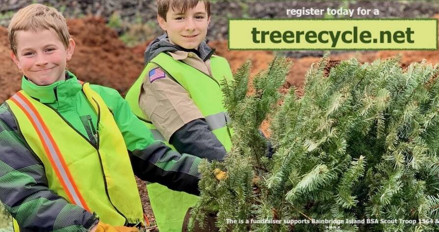 Treerecycle.net courtesy photo