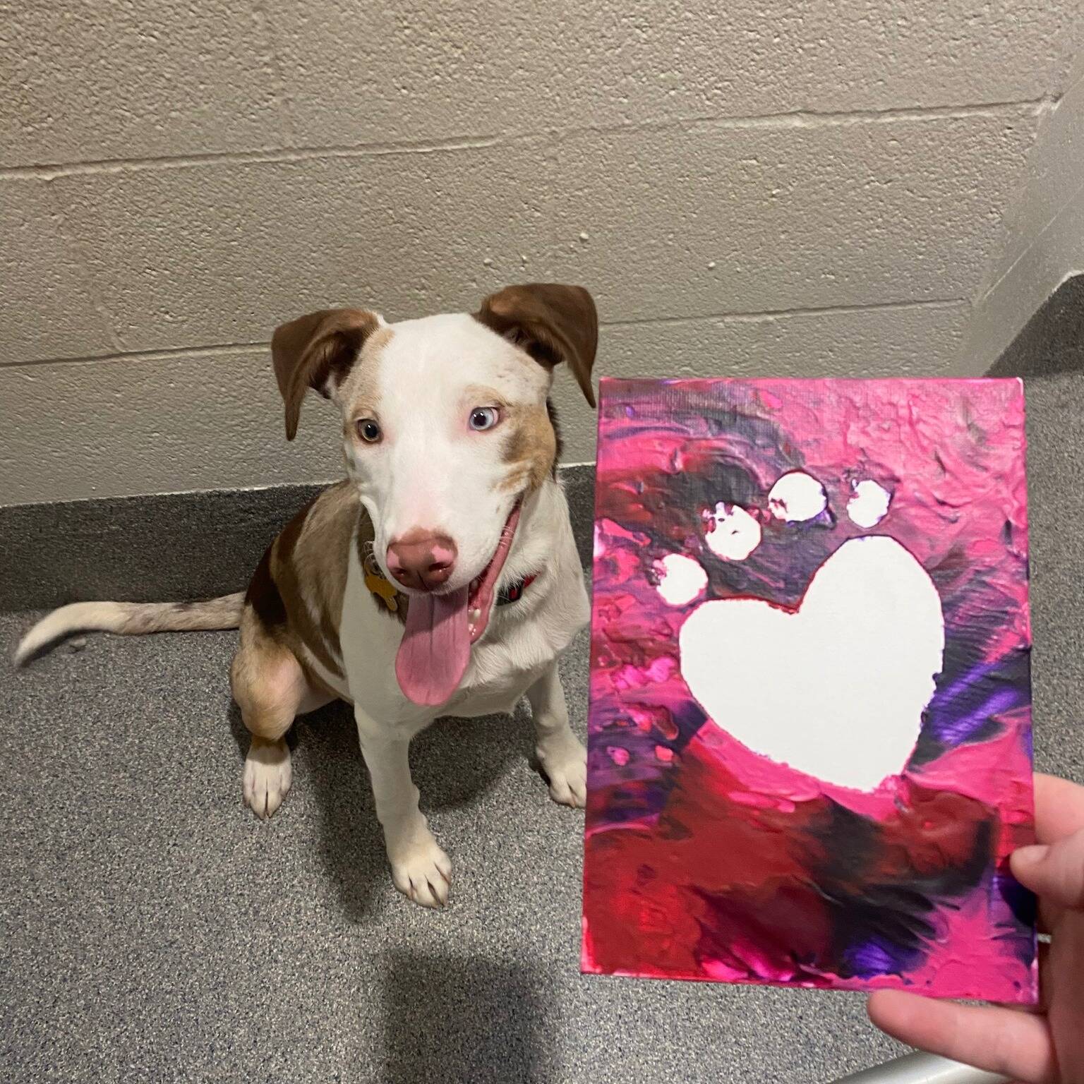 Kitsap Humane Society courtesy photo
Supporters could purchase a Pawfect Painting for Valentines Day to help donate to KHS.