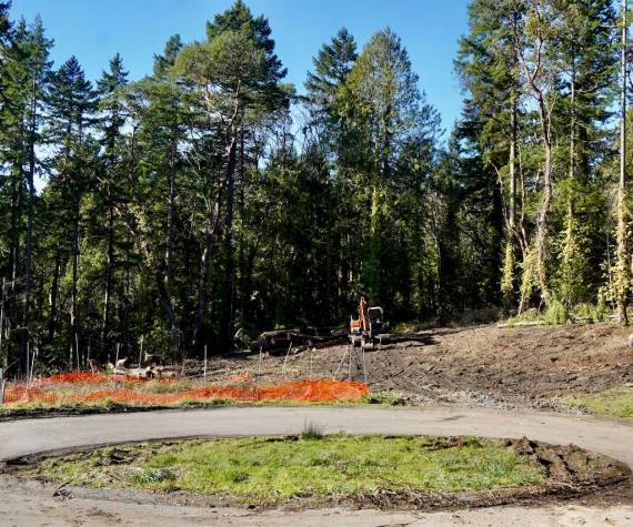 <p>Joshua Kornfeld/ Kitsap News Group</p>
                                <p>The site of the future Southern Cross housing development.</p>