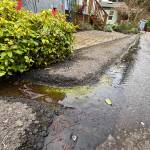 Molly Hetherwick/Kitsap News Group
A mystery leak that intermittently runs from an unclear source into the mobile home parks drainage system.