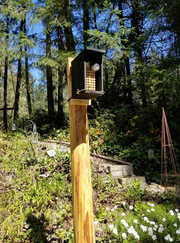 A mason bee house.