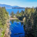 GPC courtesy photos
The Little Beef Creek estuary near Seabeck.