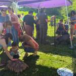 Attendees greeted a turtle, goats, rabbits, and chickens at a petting zoo during the event.