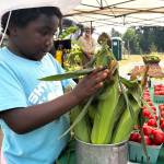 Molly Hetherwick/Kitsap News Group photo 
Zoe Kirk stuffs corn into a bucket for a Community Supported Agriculture box.