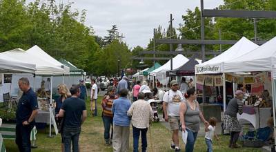 Joshua Kornfeld /Kitsap News Group
The Bainbridge Island Farmers Market on June 20.