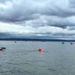 Swimmers head to Fay Bainbridge Park Aug. 1 as part of the 20th annual Around-the-Island Relay.